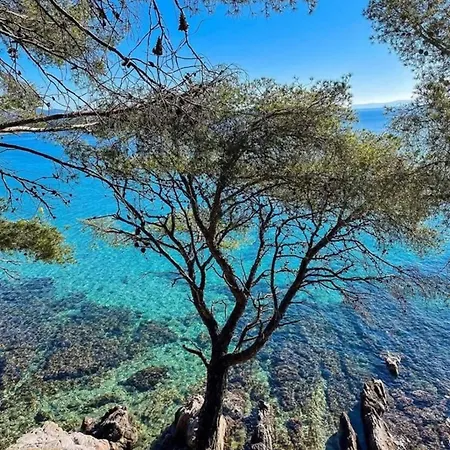 Apartamento Cosy Lavandou Le Lavandou