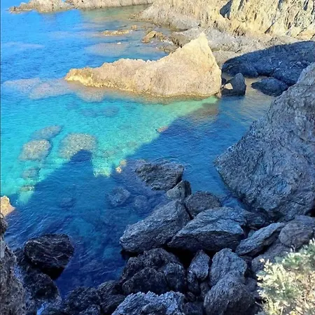 Apartamento Cosy Lavandou Le Lavandou